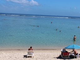 Vis et Lutz : Nos premiers visiteurs !